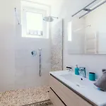 شقة 